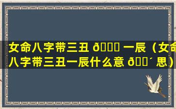 女命八字带三丑 🐒 一辰（女命八字带三丑一辰什么意 🌴 思）